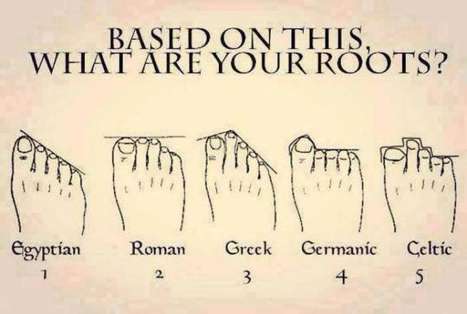 Poznaj swoich przodków