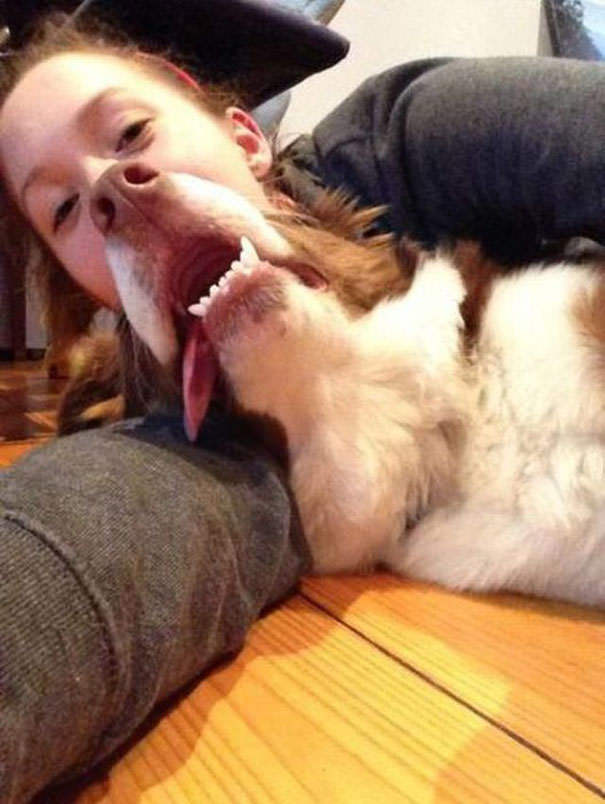 Zdjecia idealnie zrobione20