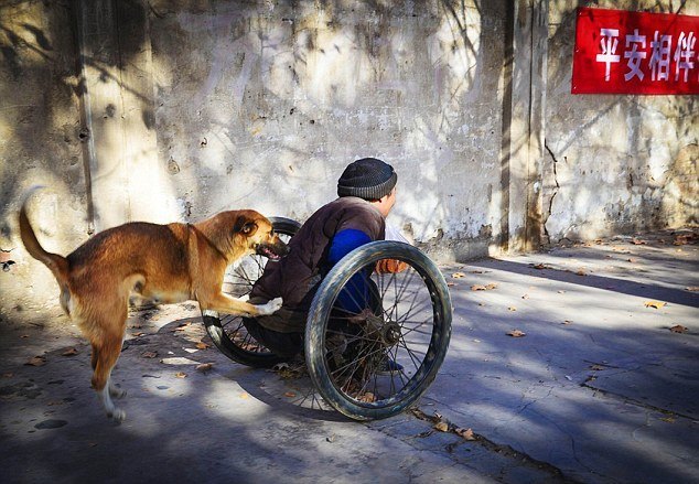 Wheelchair Driven By K9 Motor