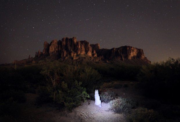 Uratował psa Wolfa ze schroniska i z nim podróżuje 11