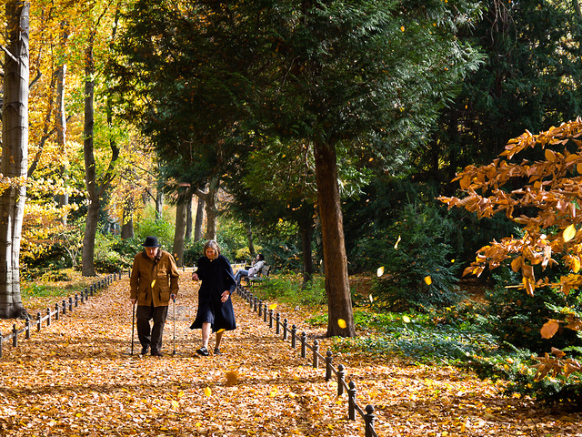 DE Landscape 08: Tiergarten Old Couple